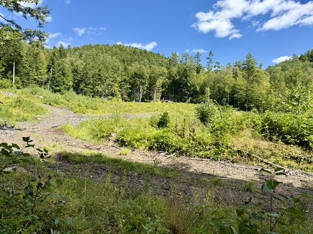0 Peavine Boulevard Property Photo 12