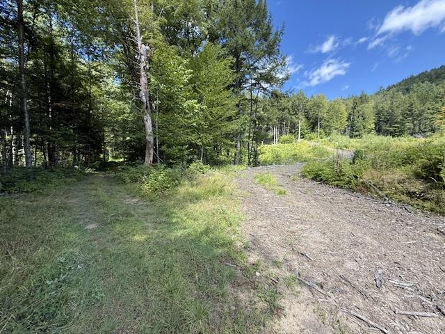 0 Peavine Boulevard Property Photo 13