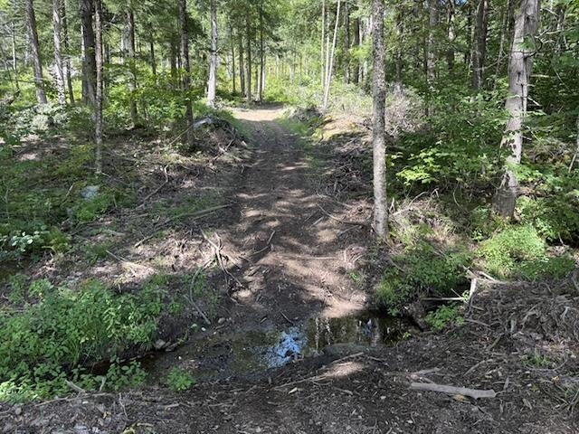 0 Peavine Boulevard Property Photo 14