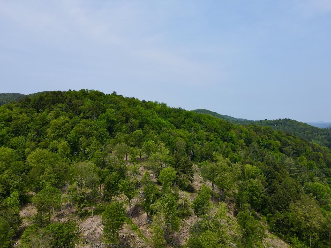 0 Peavine Boulevard Property Photo 16