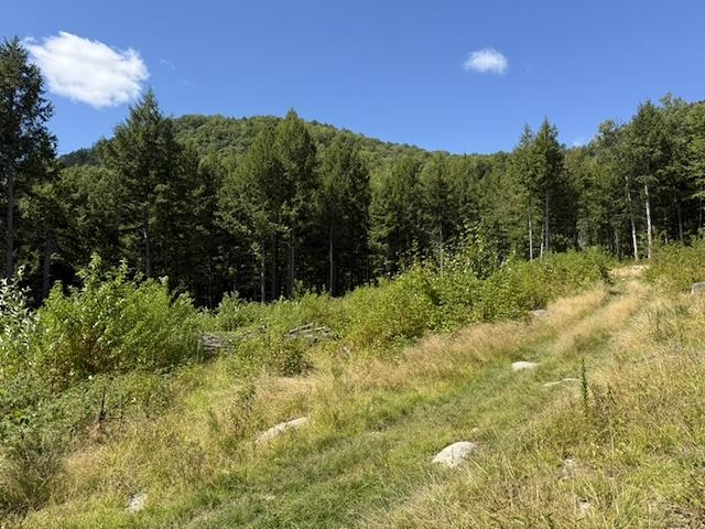 0 Peavine Boulevard Property Photo 16