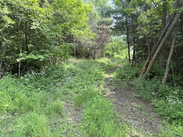 0 Peavine Boulevard Property Photo 17