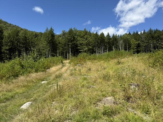0 Peavine Boulevard Property Photo 17