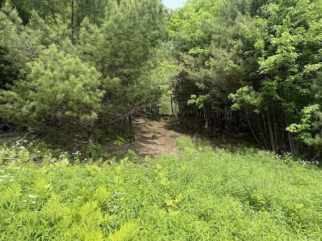 0 Peavine Boulevard Property Photo 18