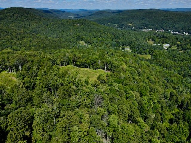 0 Peavine Boulevard Property Photo 18