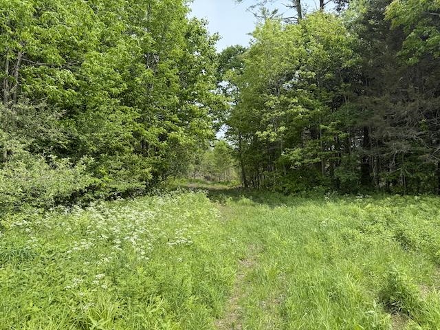 0 Peavine Boulevard Property Photo 19