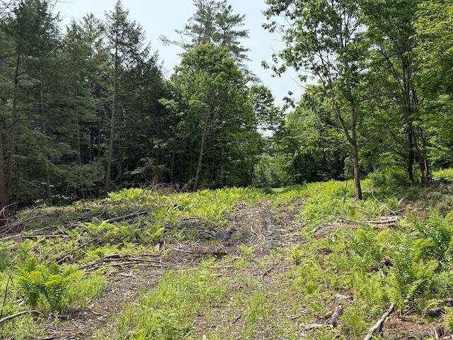 0 Peavine Boulevard Property Photo 20