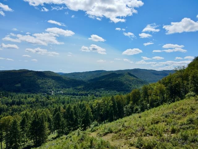 0 Peavine Boulevard Property Photo 23