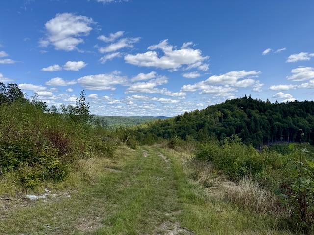 0 Peavine Boulevard Property Photo 24