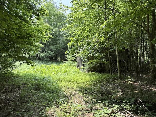 0 Peavine Boulevard Property Photo 25