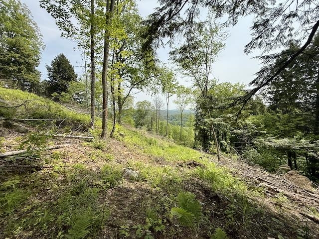 0 Peavine Boulevard Property Photo 26