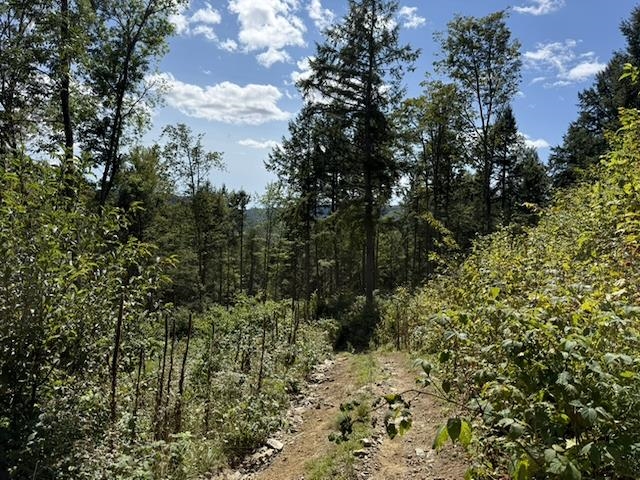 0 Peavine Boulevard Property Photo 26