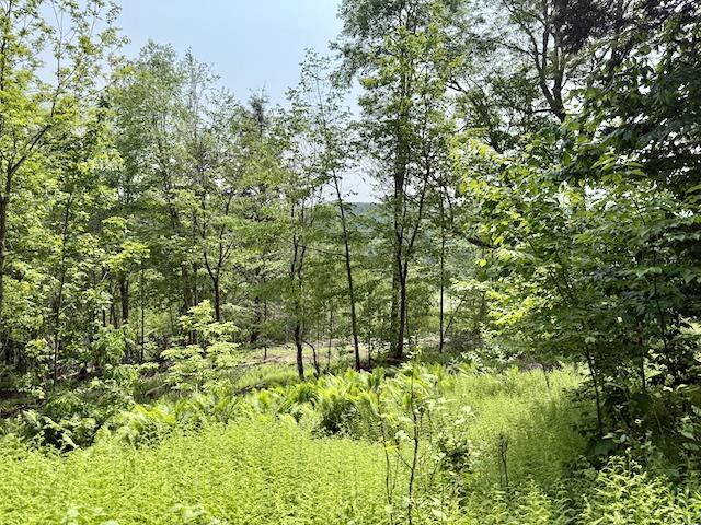 0 Peavine Boulevard Property Photo 32