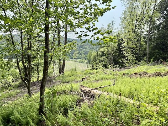 0 Peavine Boulevard Property Photo 34