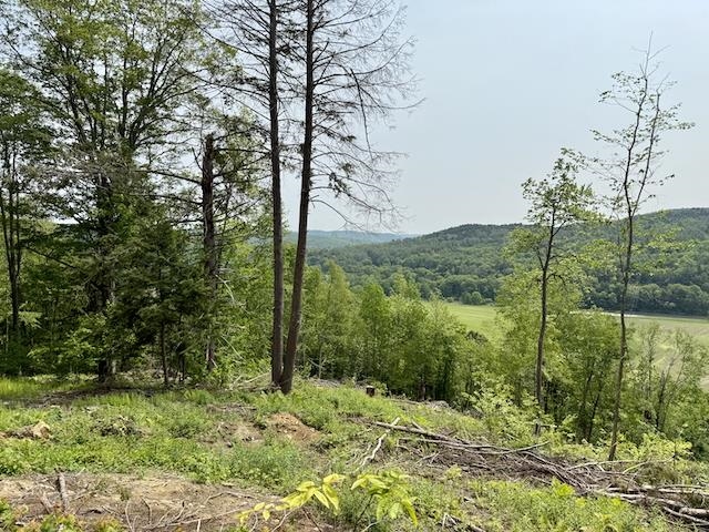 0 Peavine Boulevard Property Photo 35