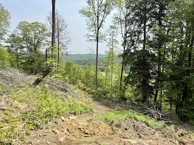 0 Peavine Boulevard Property Photo 36