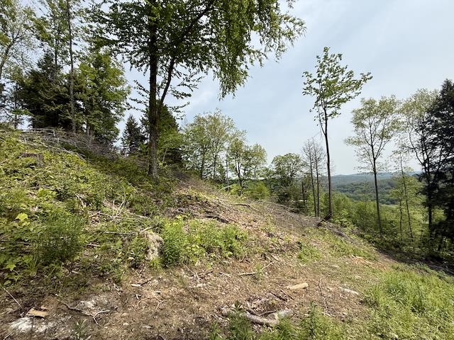 0 Peavine Boulevard Property Photo 37
