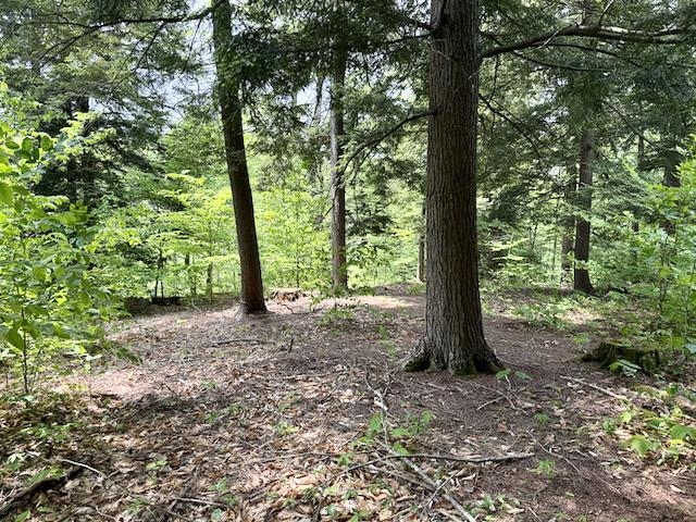 0 Peavine Boulevard Property Photo 43