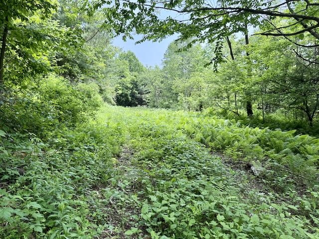 0 Peavine Boulevard Property Photo 45