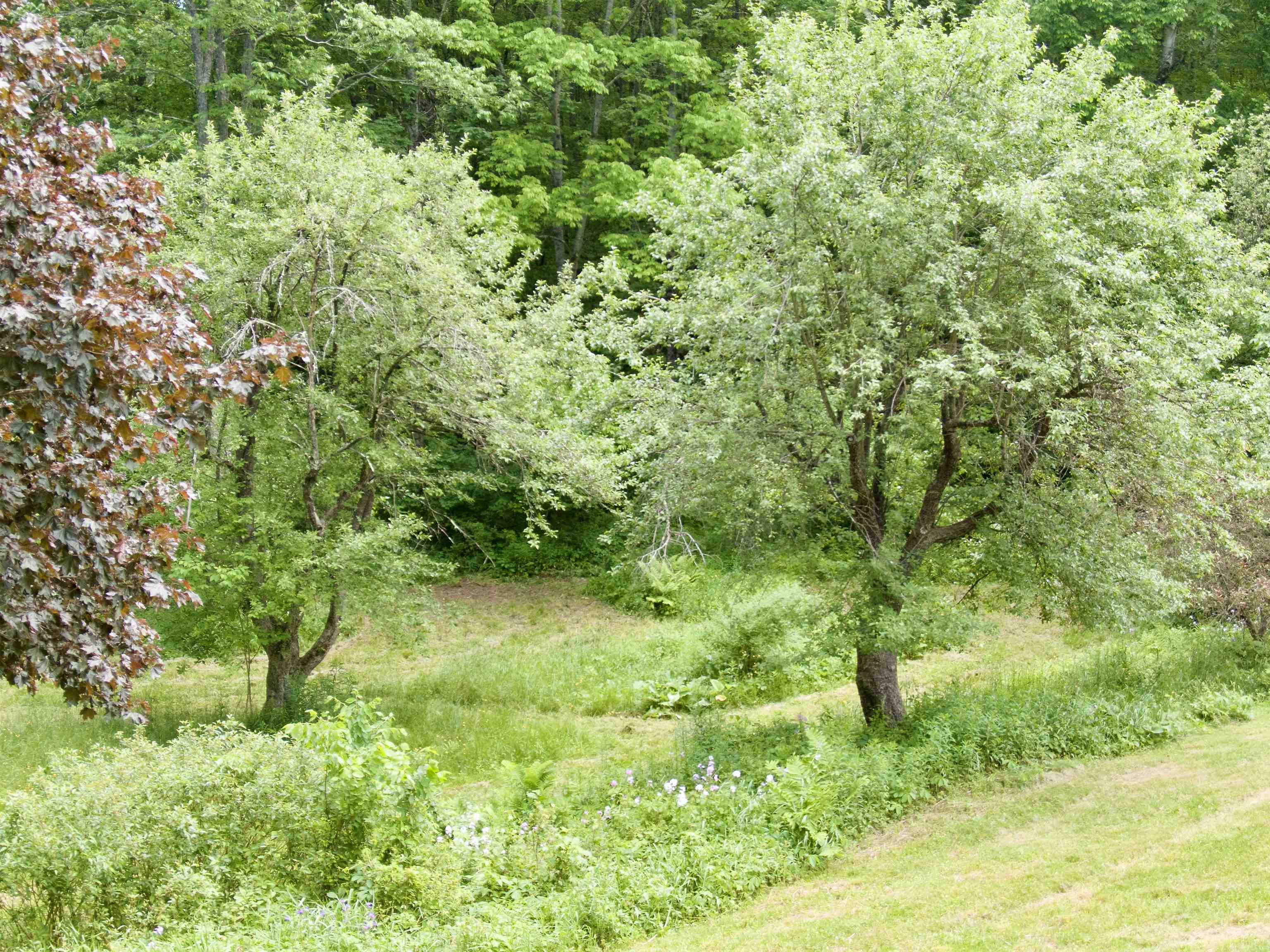 459 Bat Hennesy Road Property Photo 24