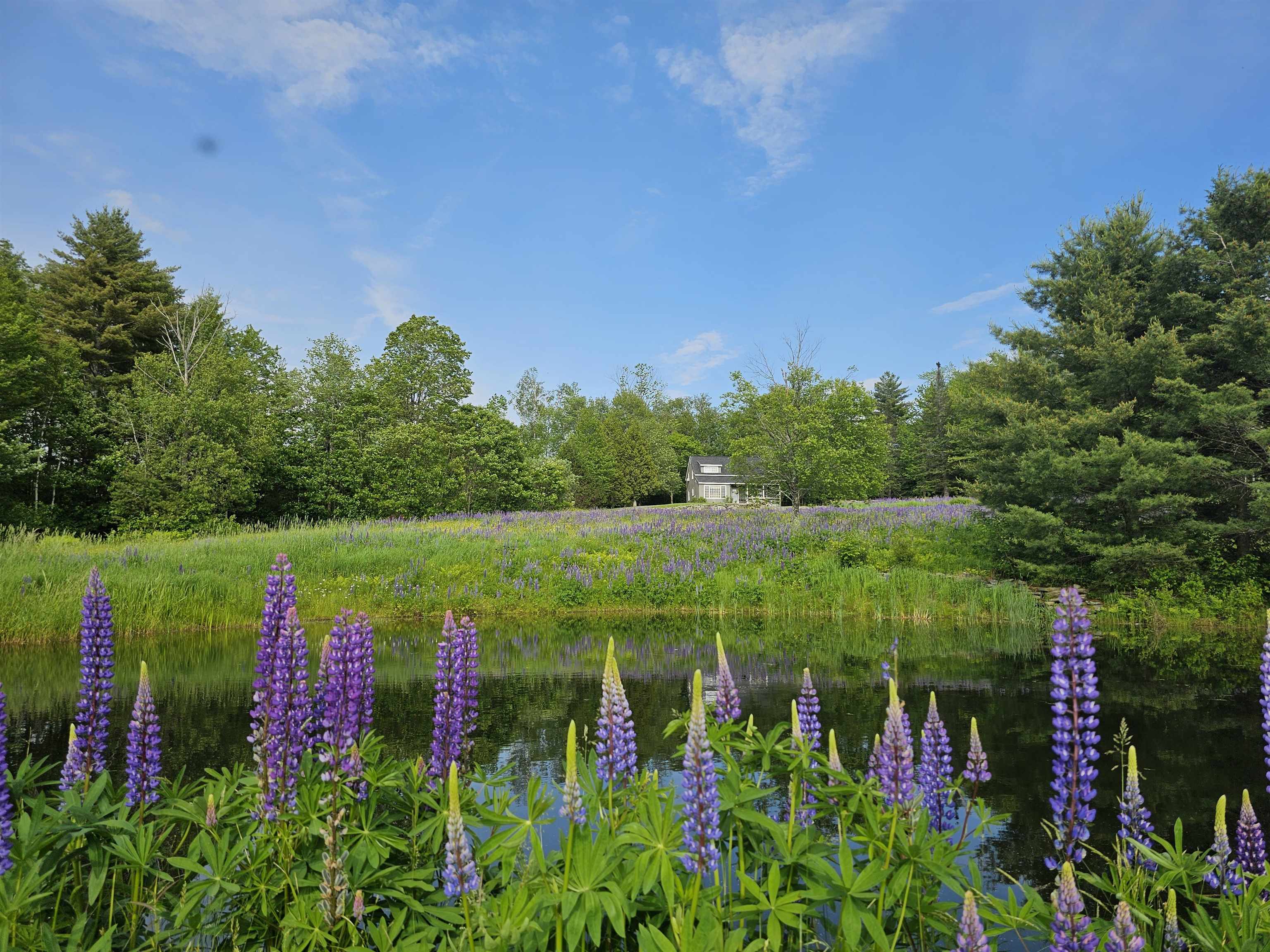 171 Pollard Road Property Photo 1