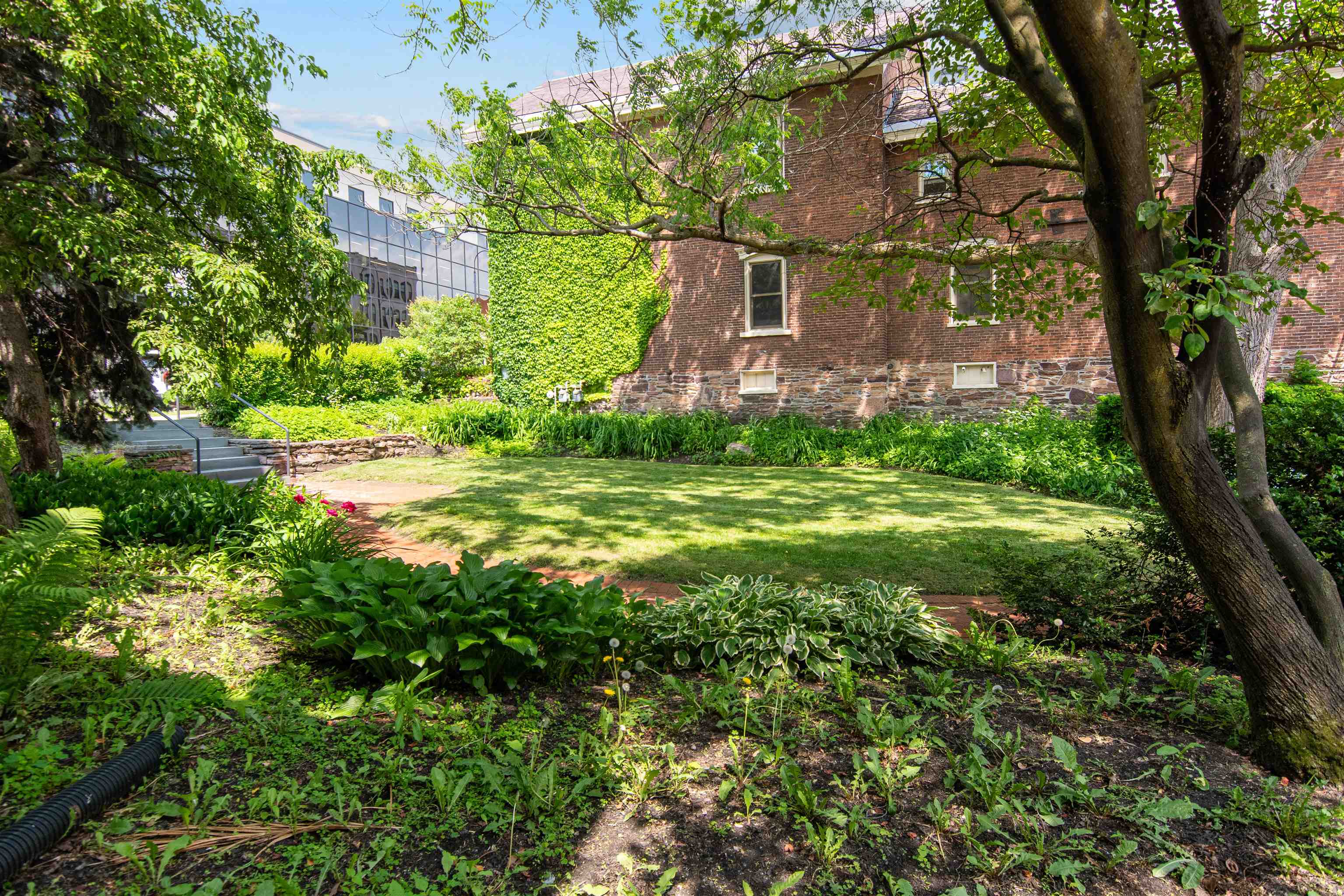 89 College Street Property Photo 5