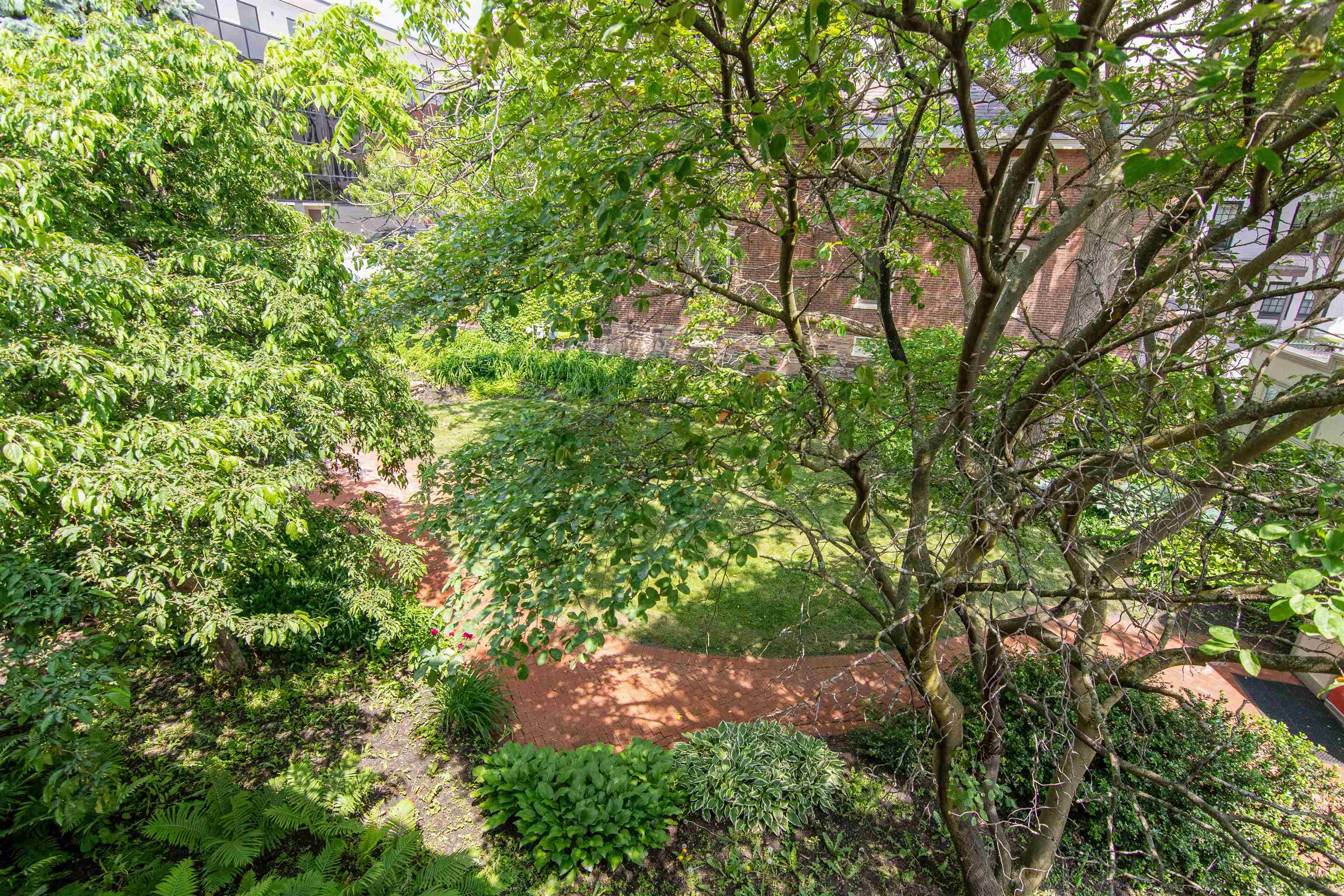 89 College Street Property Photo 31