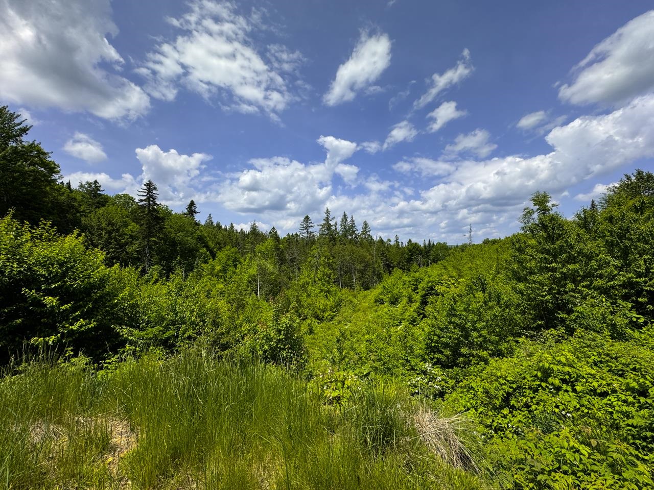 0 Lynburke Road Property Photo 28