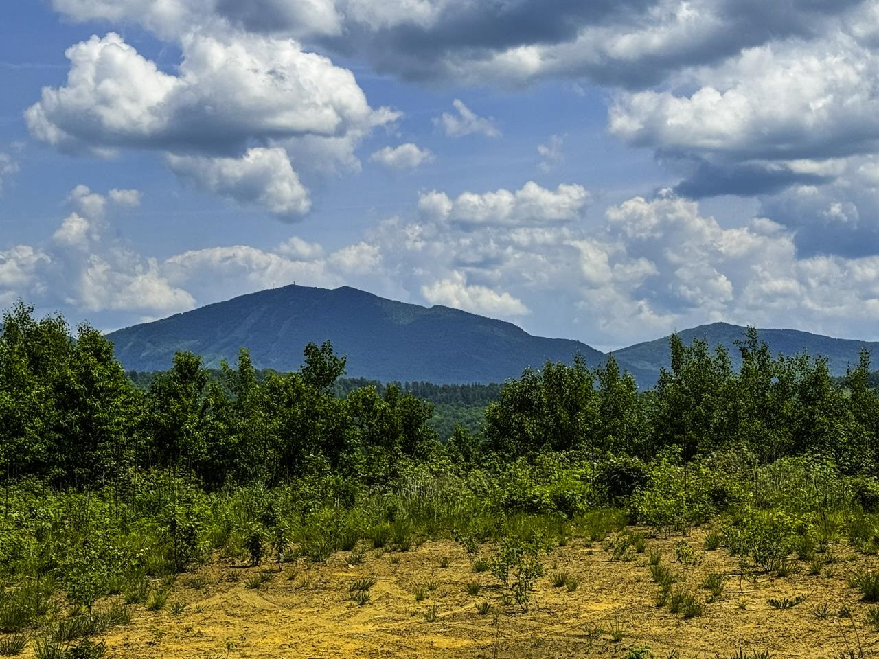 0 Lynburke Road Property Photo 1