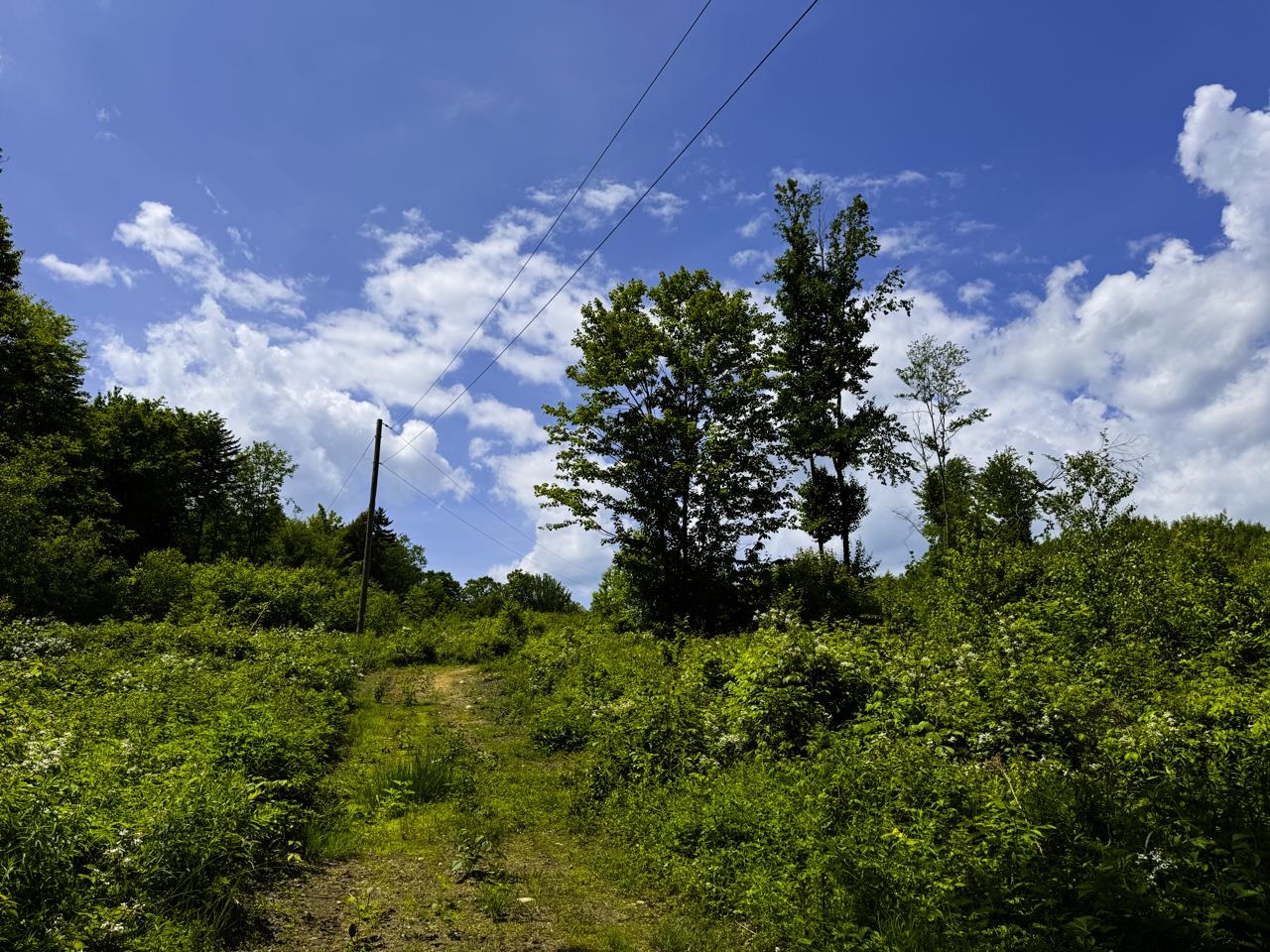 0 Lynburke Road Property Photo 19