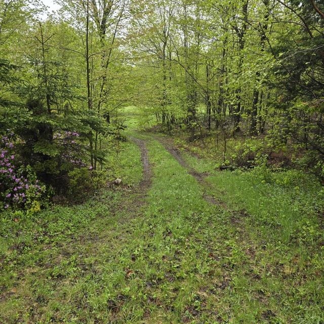 250 Kinney Hill Road Property Photo 26