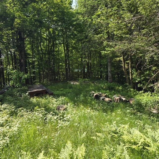 250 Kinney Hill Road Property Photo 30