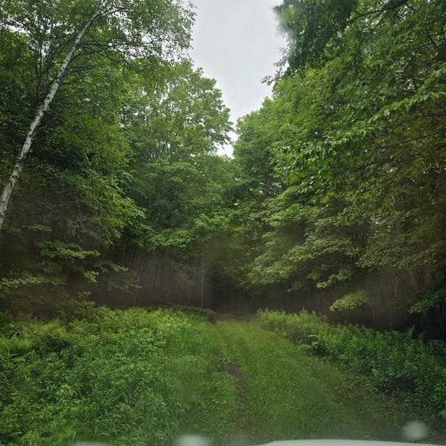 250 Kinney Hill Road Property Photo 33