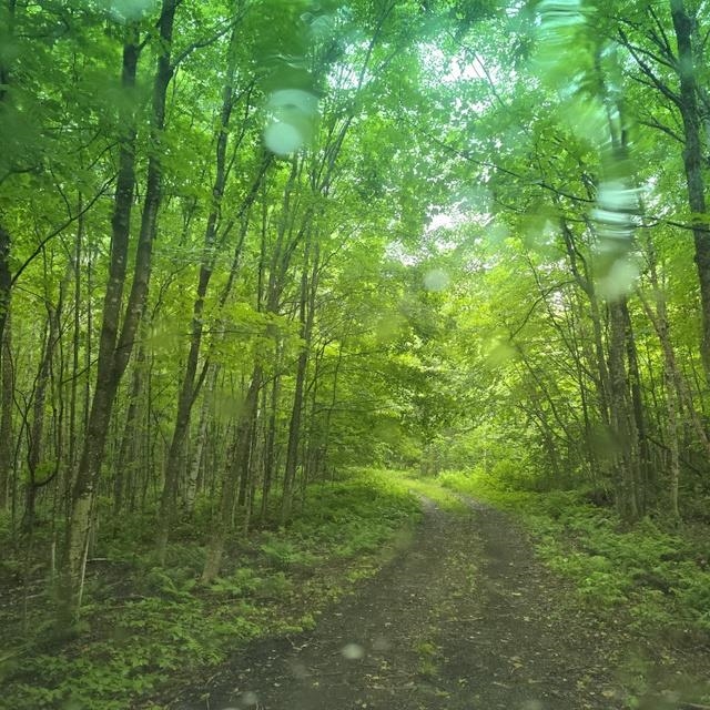 250 Kinney Hill Road Property Photo 34