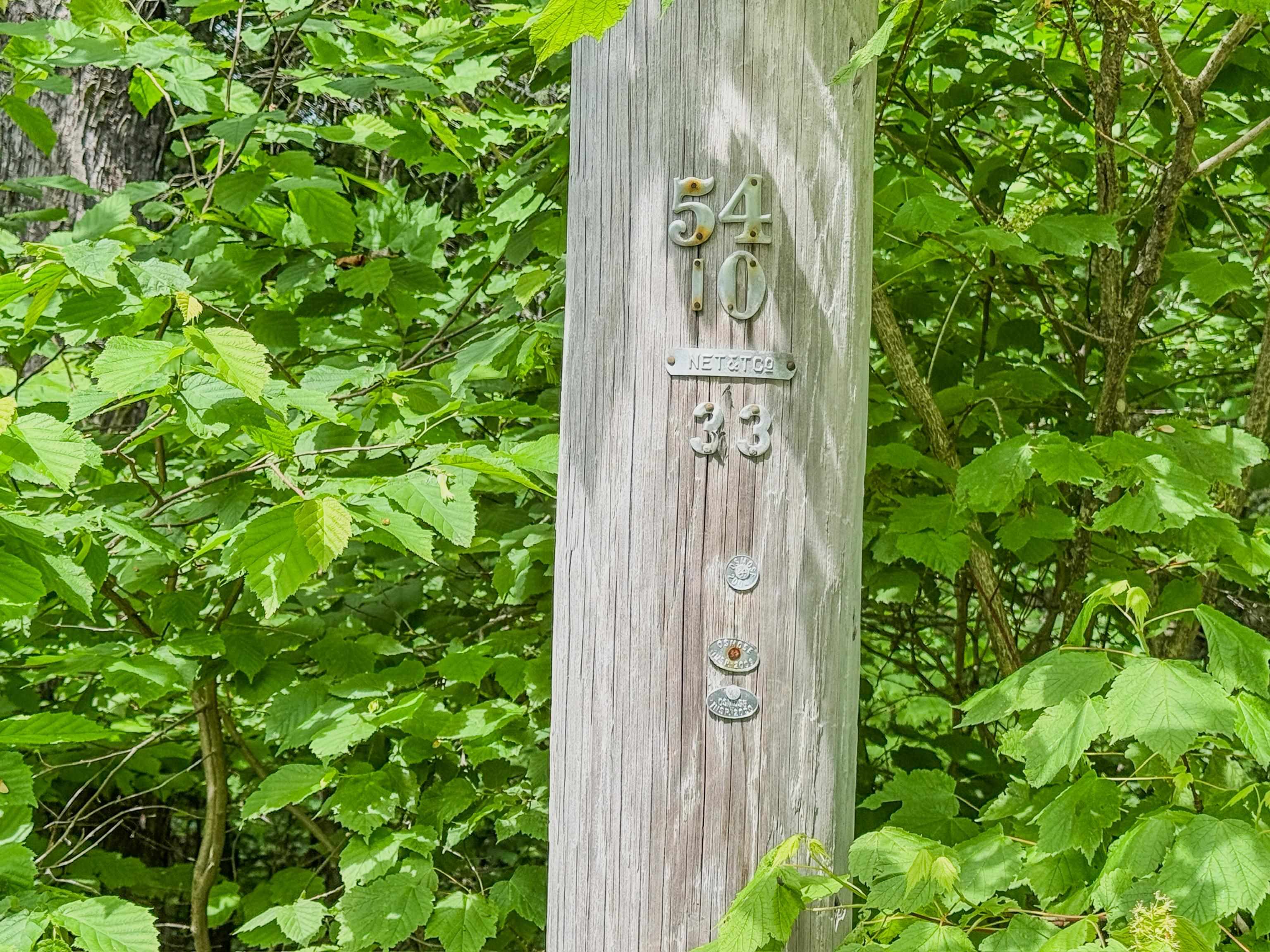 3681 Shadow Lake Road Property Photo 23