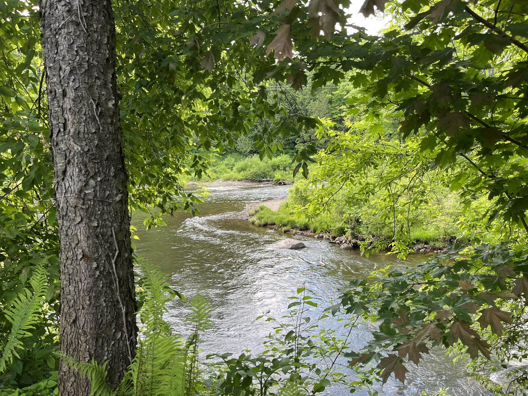 498 Clyde Street Property Photo 7