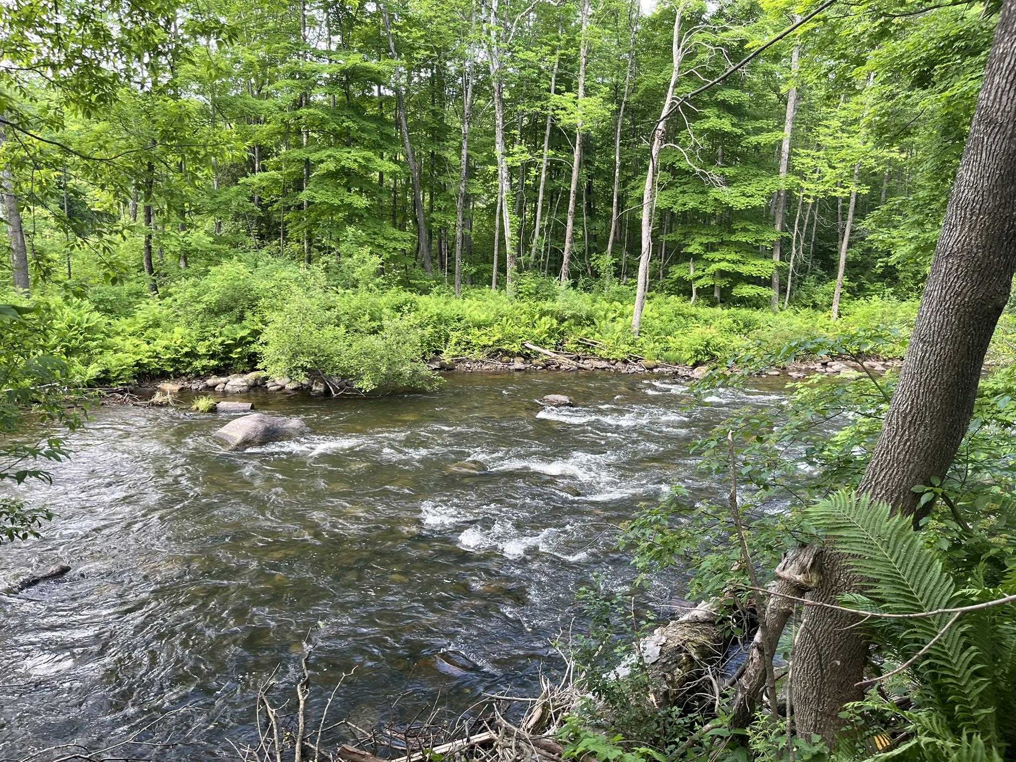 498 Clyde Street Property Photo 8