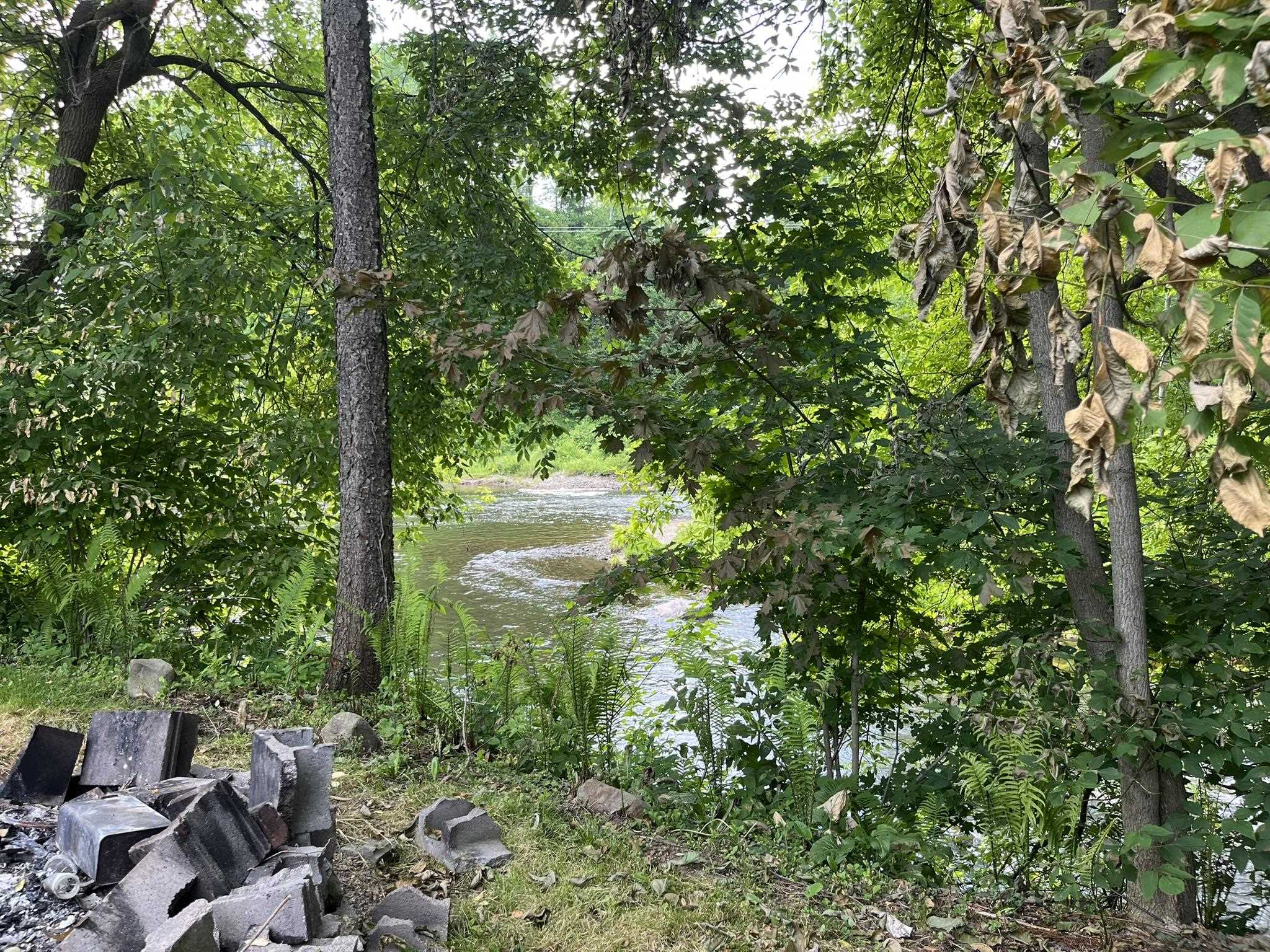 498 Clyde Street Property Photo 26