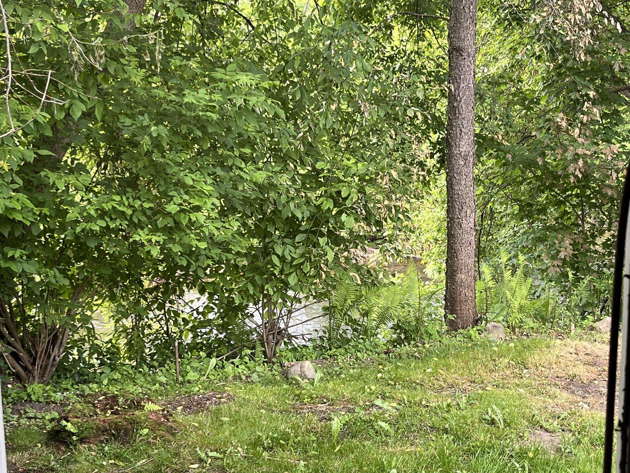 498 Clyde Street Property Photo 27