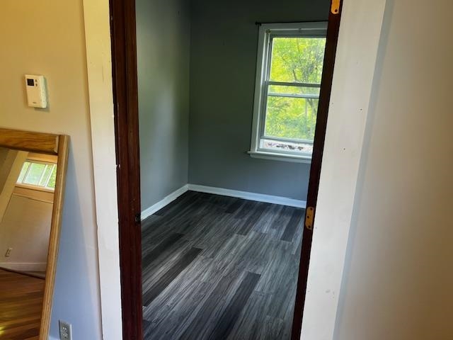 498 Clyde Street Property Photo 31