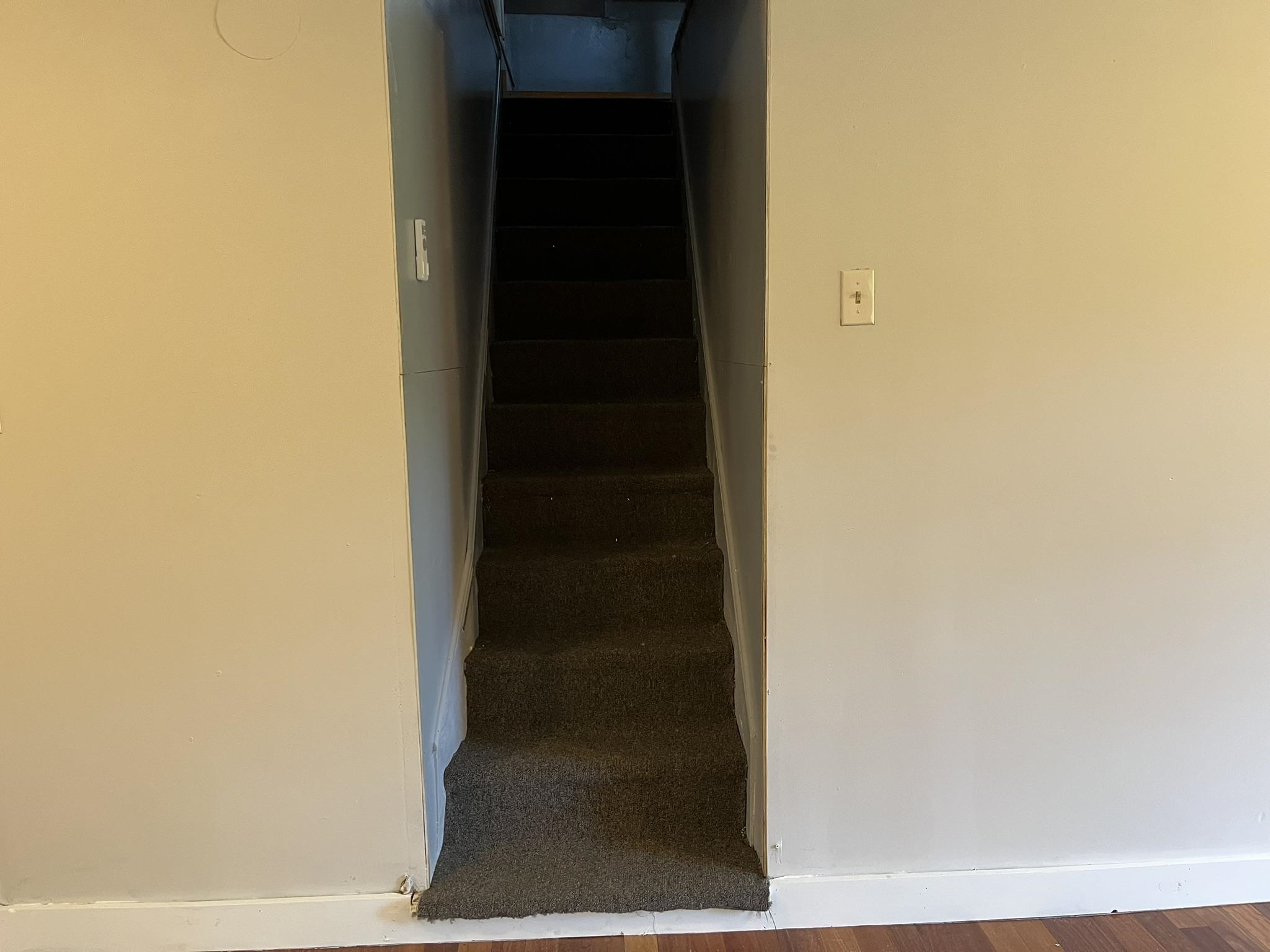 498 Clyde Street Property Photo 33