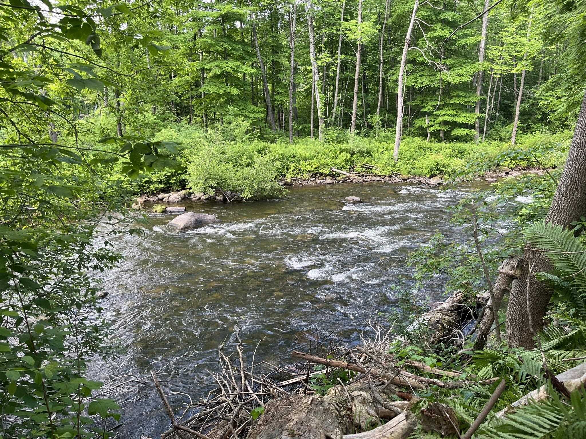 498 Clyde Street Property Photo 39