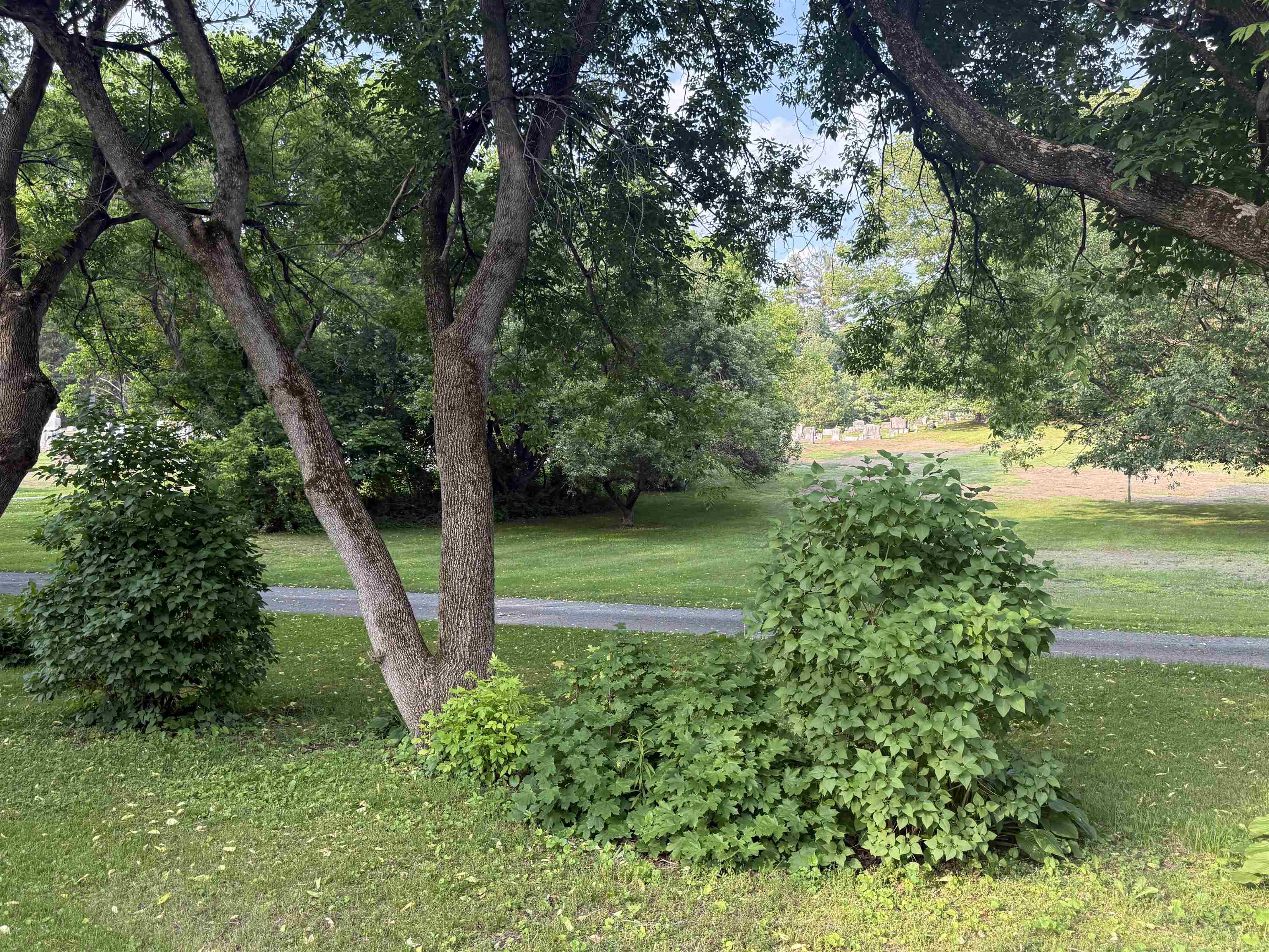 60 South Street Property Photo 15