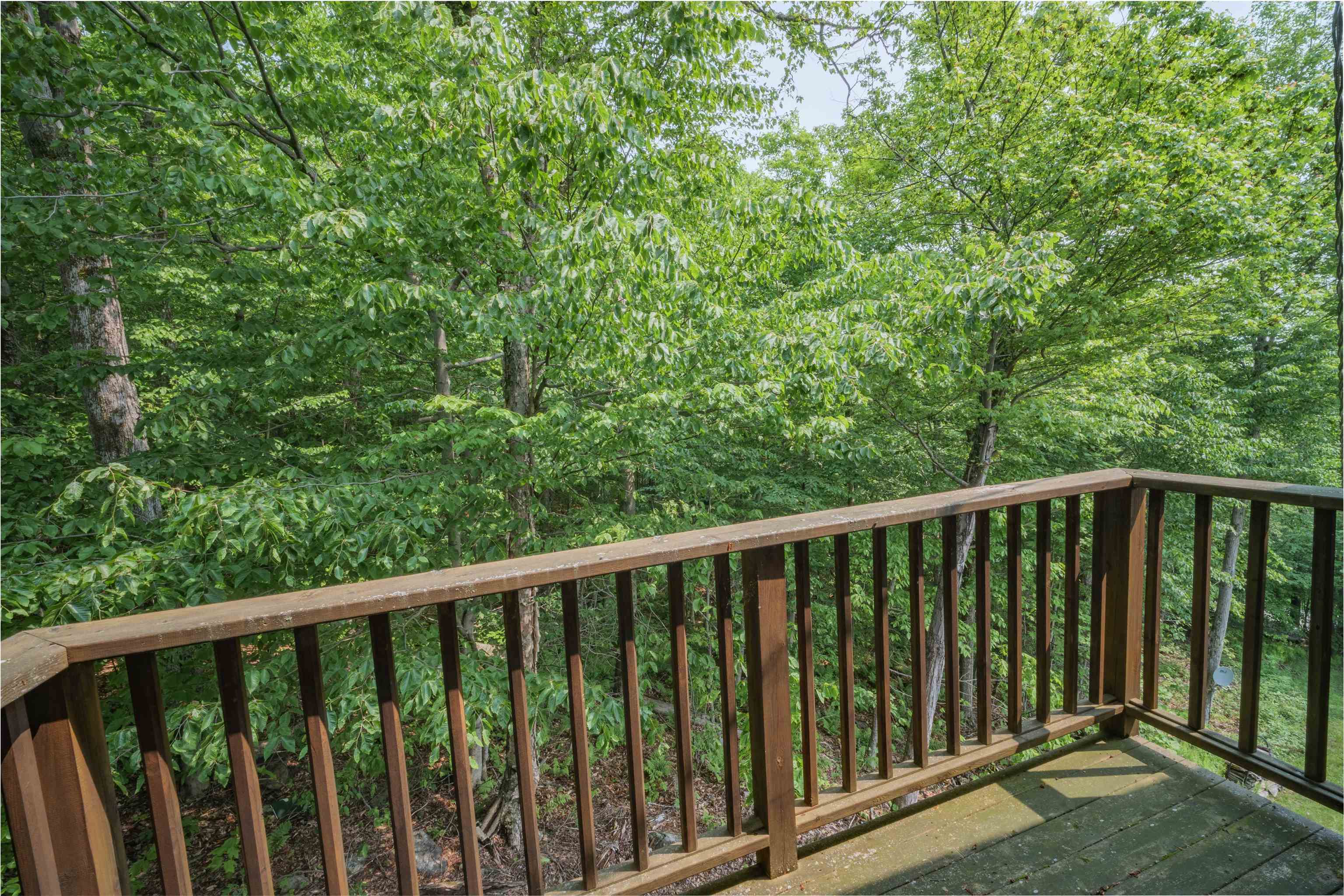 46 Scattered Timber Road Property Photo 25