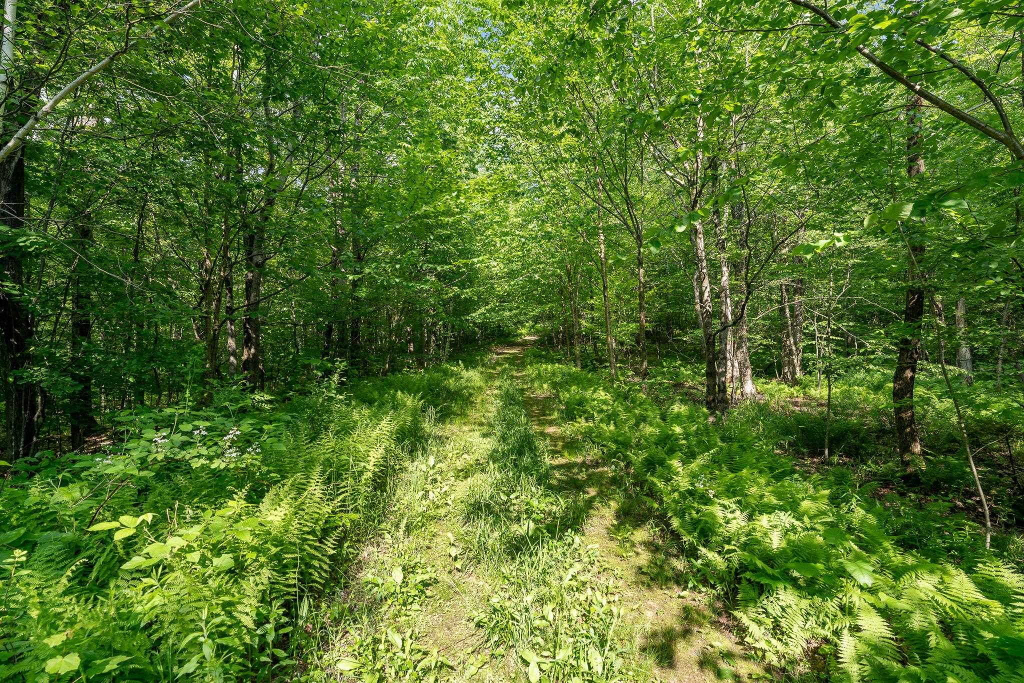 115 Stone Hill Road Property Photo 1