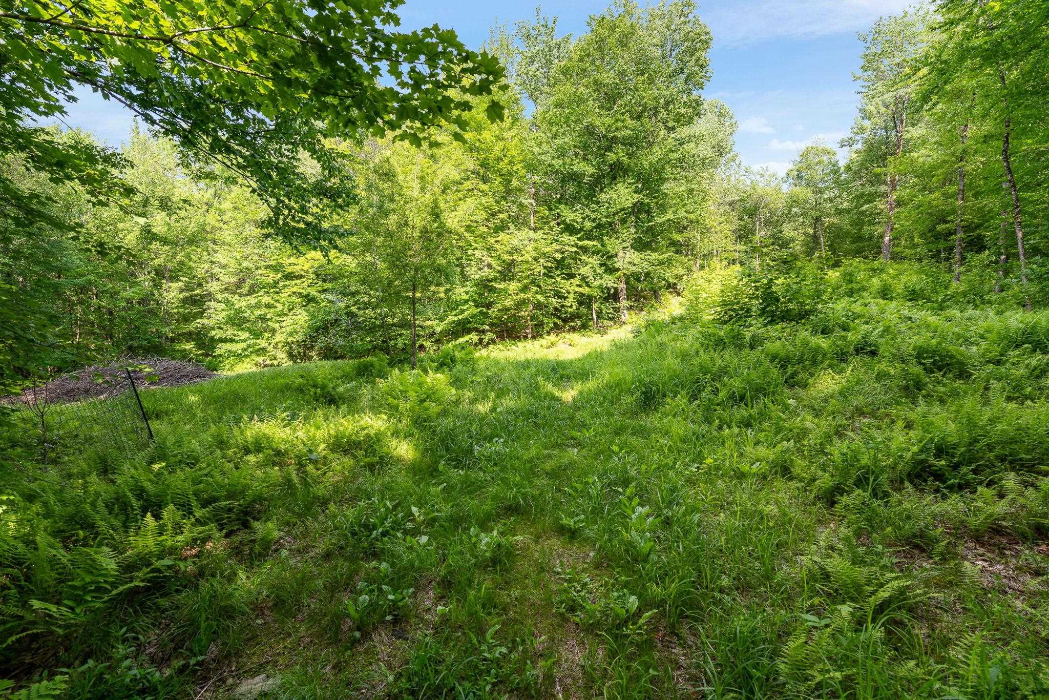 115 Stone Hill Road Property Photo 10