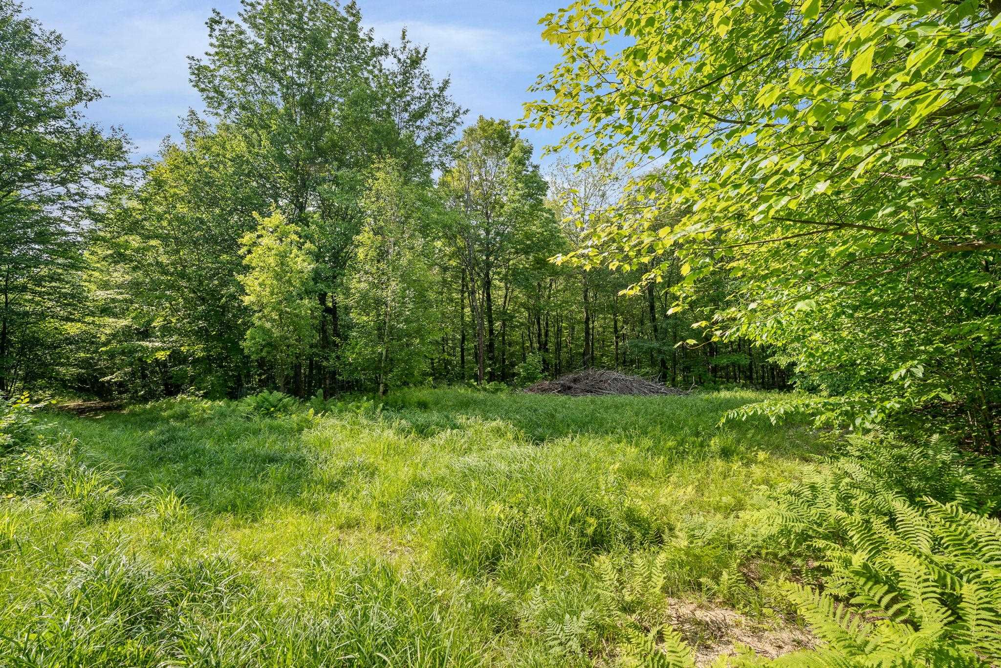 115 Stone Hill Road Property Photo 11