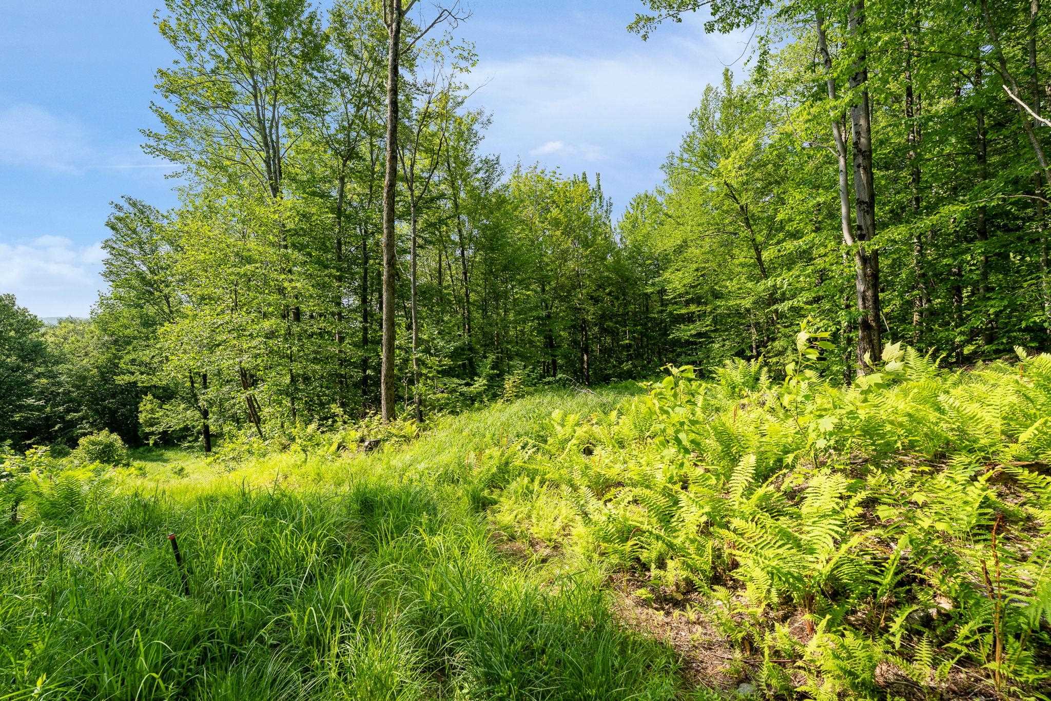 115 Stone Hill Road Property Photo 15