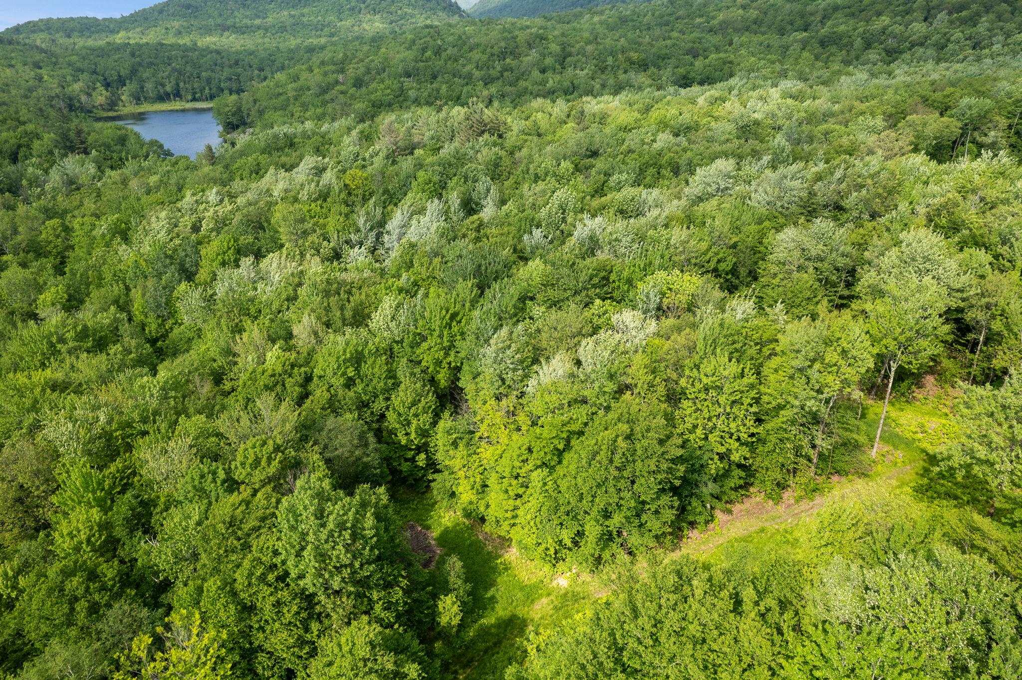 115 Stone Hill Road Property Photo 34
