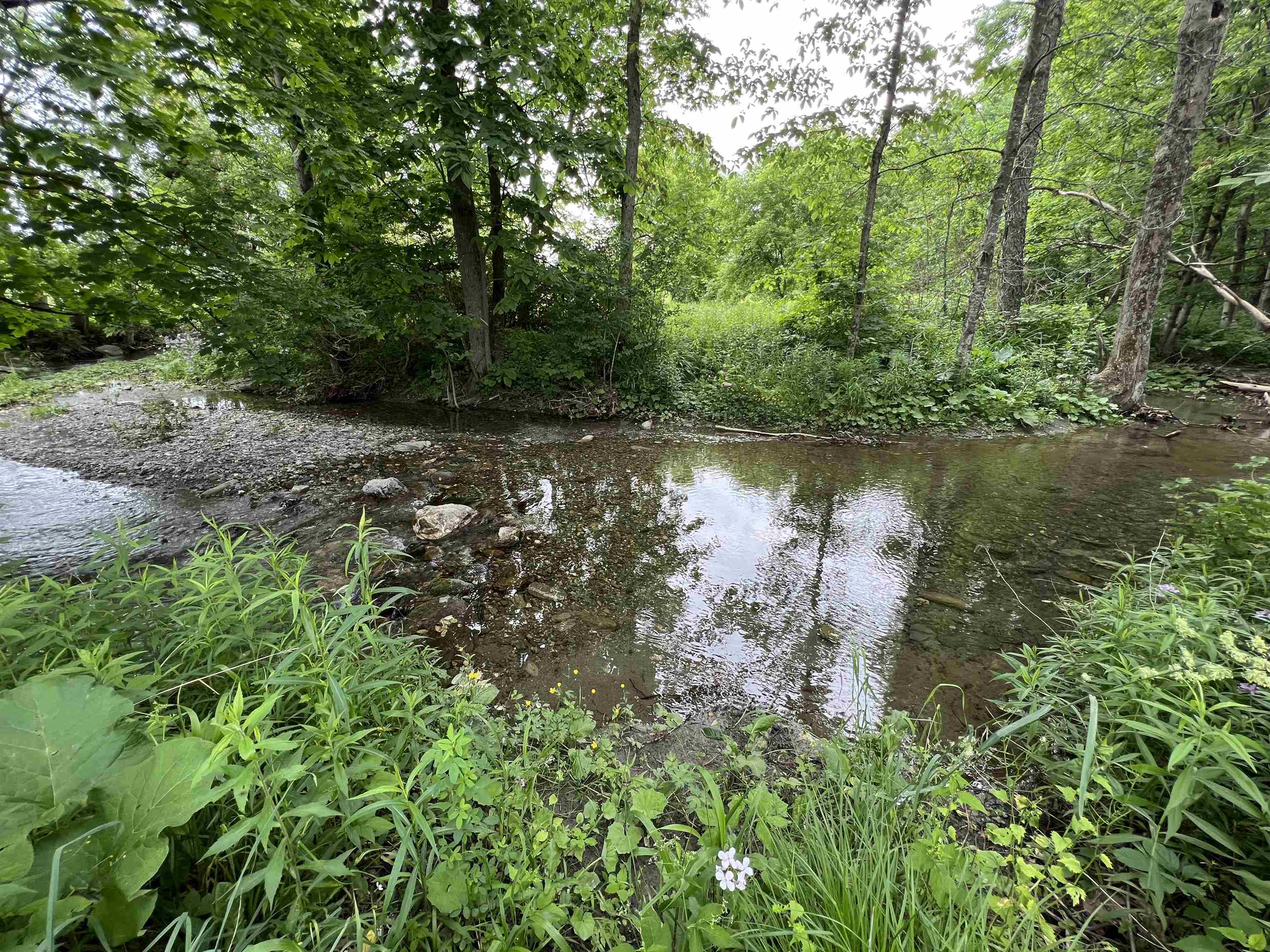 249 Ward Road Property Photo 44